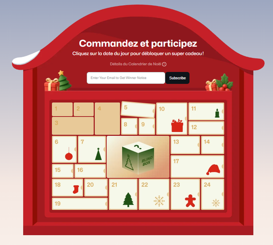 Guide d’Achat de Noël LaserPecker