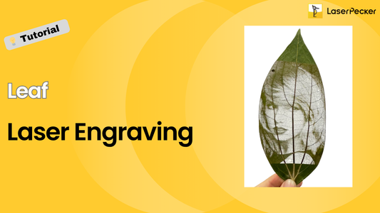 Laser Engraving Leaf: A Full Guide for Beginners
