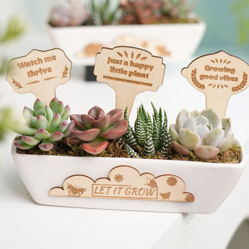 Laser Cut and Engraved Plant Plugs
