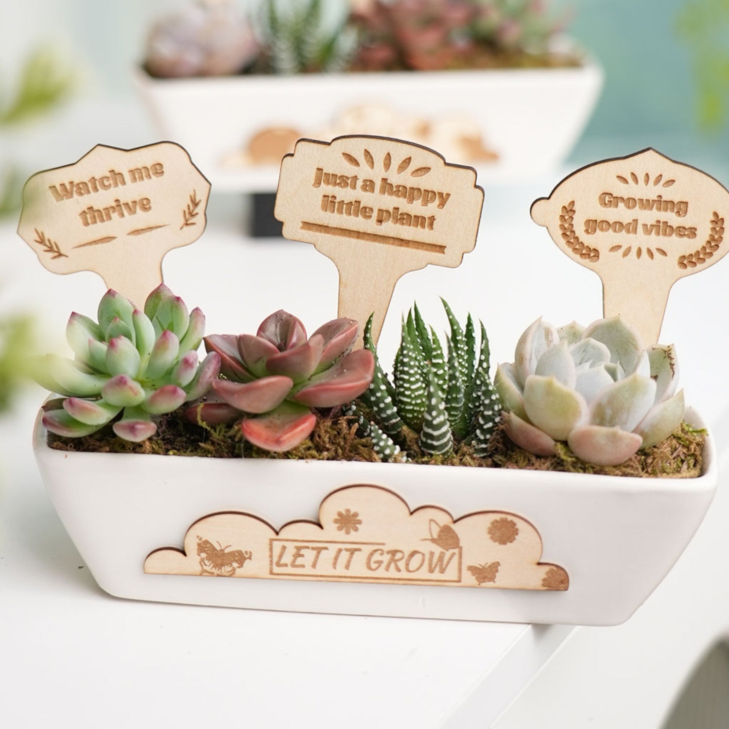 Laser Cut and Engraved Plant Plugs