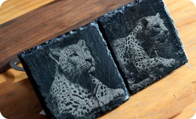LaserPecker LP2 Plus engraving on square slate coasters, featuring high-detail photographic portraits of leopards with realistic fur texture and high contrast.