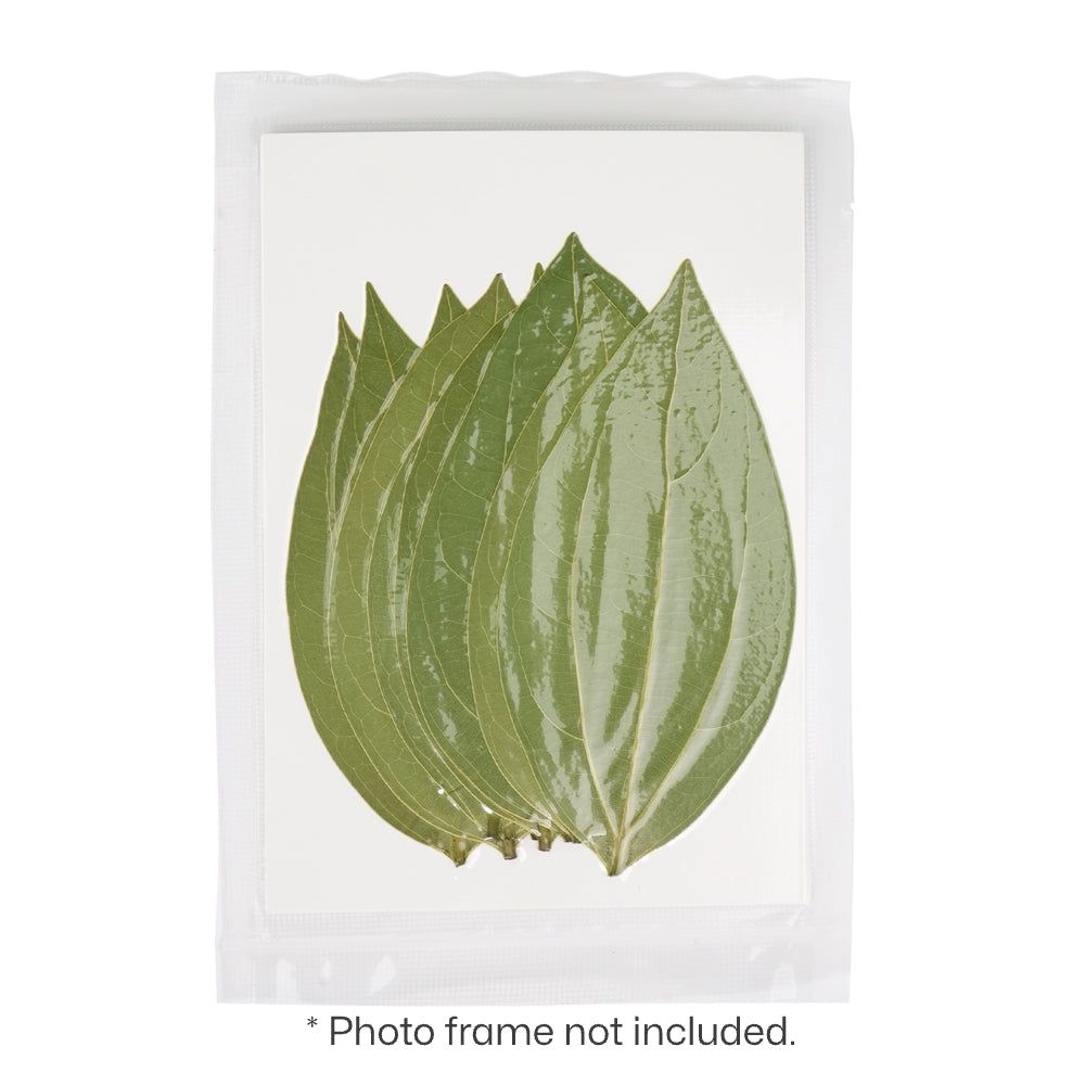 Photo Engraving on Cinnamon Leaf, framed in a wooden photo frame