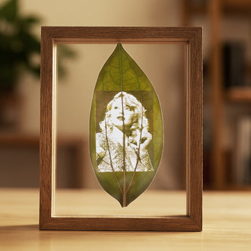 Cinnamon Leaf for Engraving (10pcs)